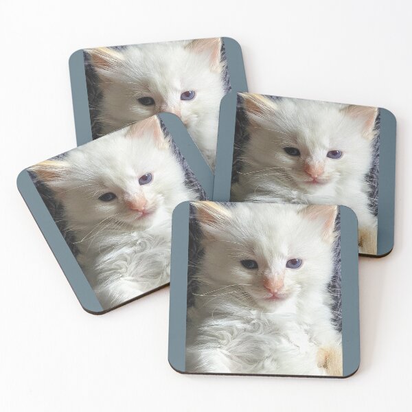 Item preview, Ragdoll mainecoon kitty designed and sold by Fluffycat2020.