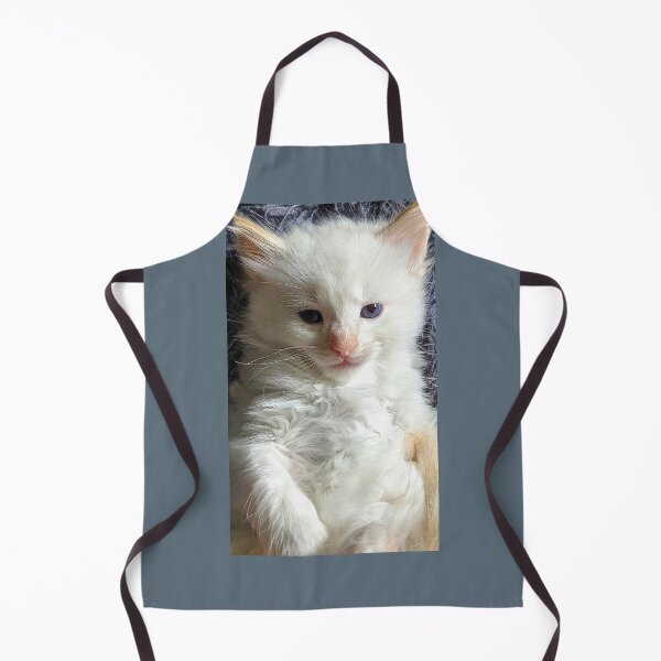 Item preview, Ragdoll mainecoon kitty designed and sold by Fluffycat2020.