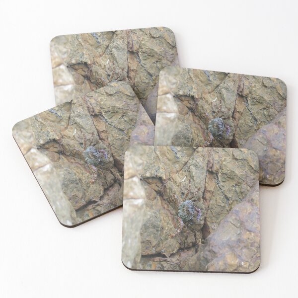 Item preview, crab on the shore designed and sold by czavonarola.