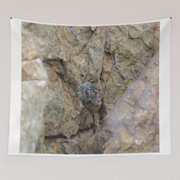 Item preview, crab on the shore designed and sold by czavonarola.
