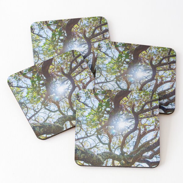 Item preview, Southern Oak Tree Photography  designed and sold by ariellevictoria.