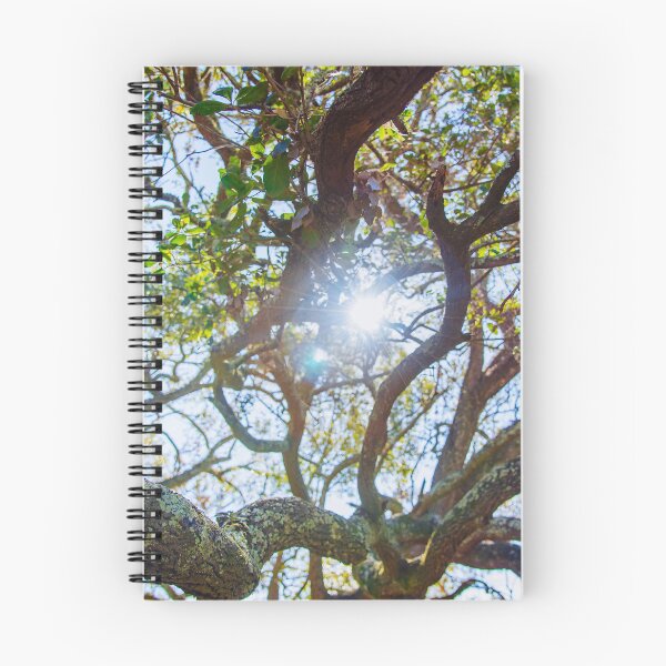 Item preview, Southern Oak Tree Photography  designed and sold by ariellevictoria.