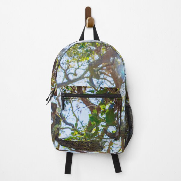 Item preview, Southern Oak Tree Photography designed and sold by ariellevictoria.