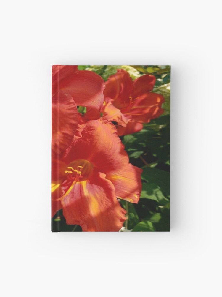 Cuaderno de tapa dura «Hermosas azucenas rojas iluminadas por el sol y  hortensias blancas» de GardeningHope | Redbubble