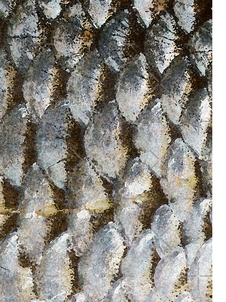 "Tarpon Scales Mermaid" iPhone Case for Sale by Statepallets Redbubble