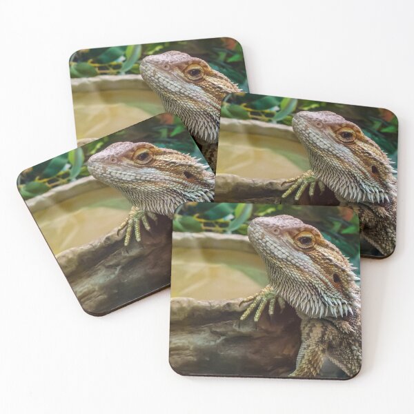 Item preview, Agama Lizard designed and sold by axp7884.