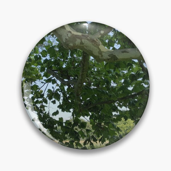 Item preview, View from the Sycamore Tree designed and sold by Lifeasweseeit.