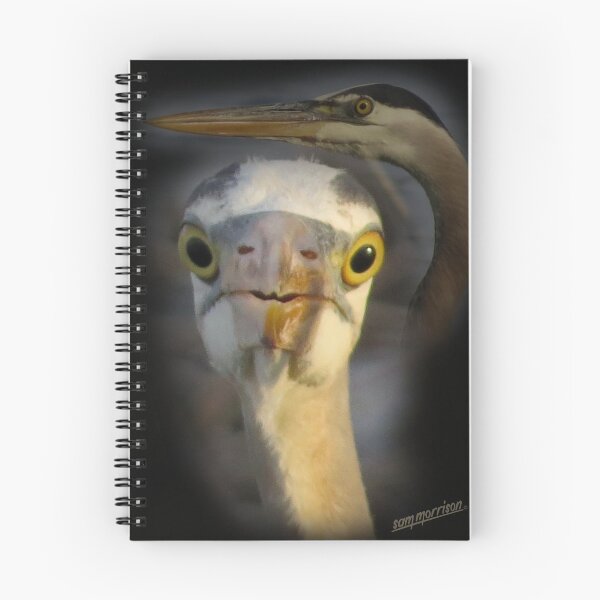 Item preview, Great Blue Heron Portrait - The Vicskburg Collection - Animal Portrait designed and sold by Sam Morrison.