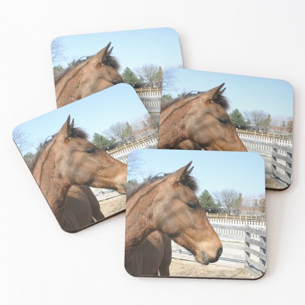 Item preview, Horse in Profile designed and sold by orangelikejazz.