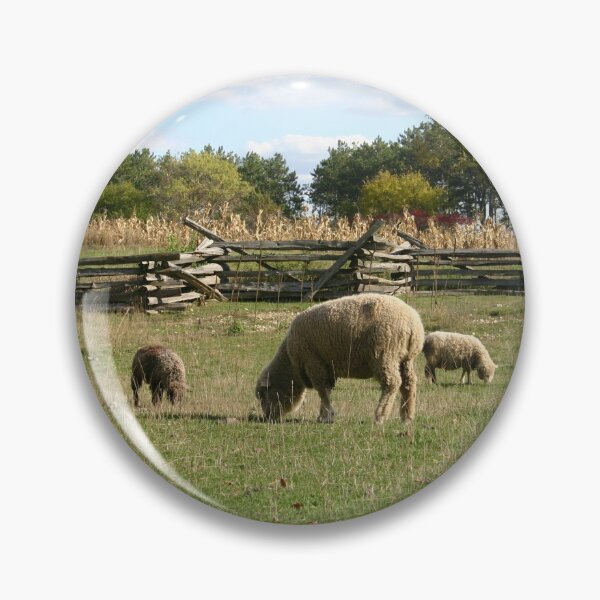 Item preview, Grazing Sheep designed and sold by orangelikejazz.
