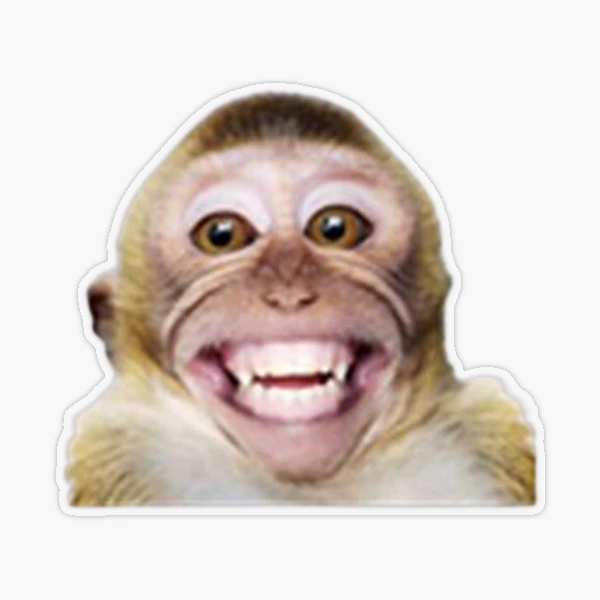 Monkey sipping caprisun meme Photographic Print for Sale by janenovacane