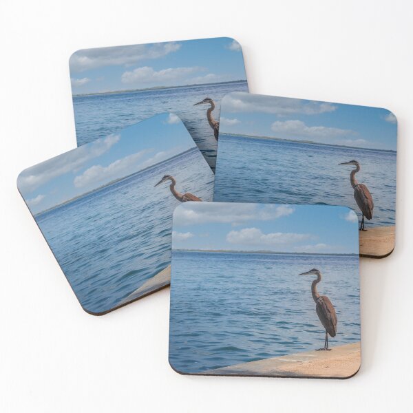 Item preview, Young Waterfowl and Boaters designed and sold by Cat Calhoun.