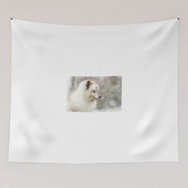 Item preview, Arctic Fox in the snow designed and sold by Grant Glendinning.
