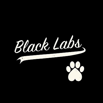 Artwork thumbnail, Black Lab Baseball Script by 8PawsStudio