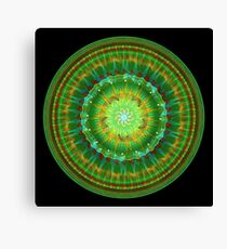 Mandala Of Life Canvas Print