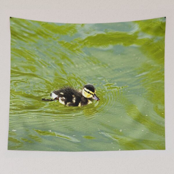Item preview, Little Baby Mallard Duckling Swimming Green Pond designed and sold by Anna Lemos.