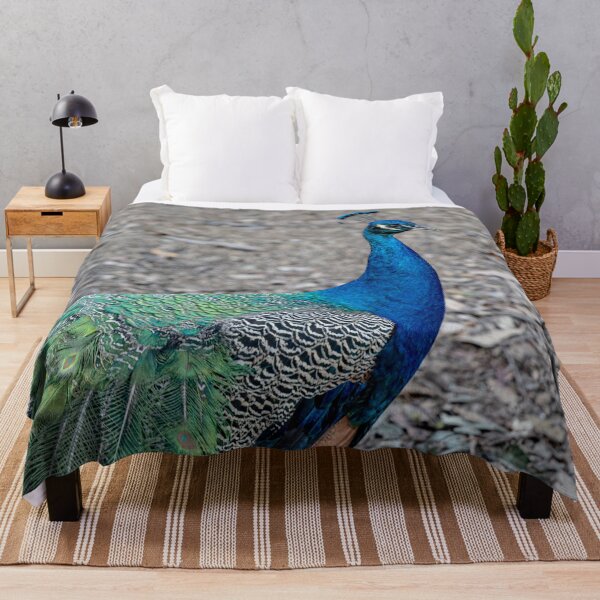 Item preview, Peacock designed and sold by Marylou Badeaux.