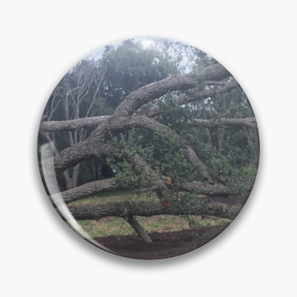 Item preview, Cork plantation, Canberra designed and sold by RogerRoy.