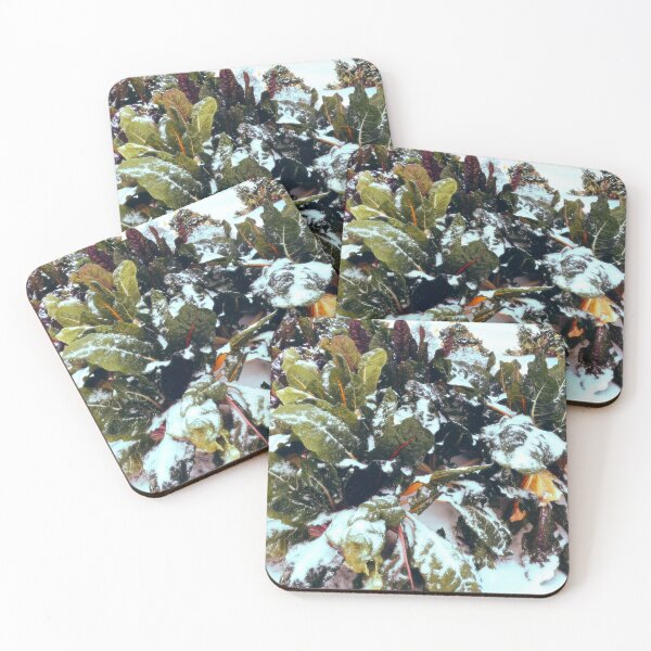 Item preview, Tropical Plants in the Snow designed and sold by jnbr.