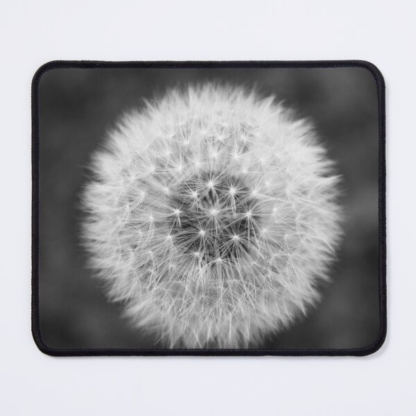 Item preview, Dandelion Gray scale Photography designed and sold by hatimelhag.