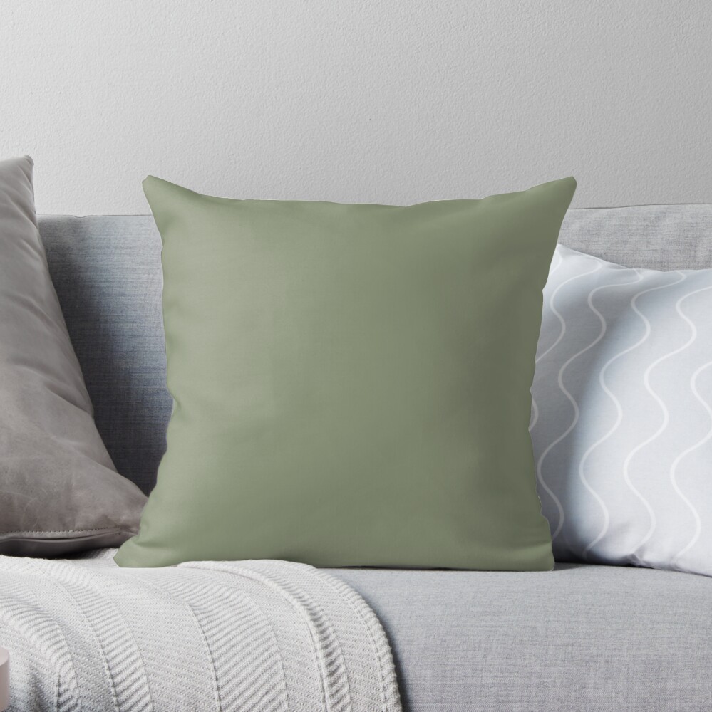 sage throw pillow