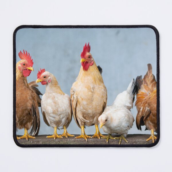 Item preview, Chickens in a Row designed and sold by Designs24U.