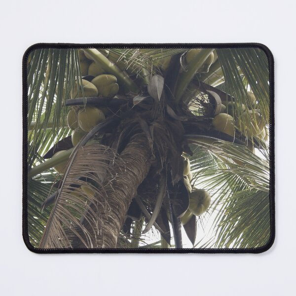 Item preview, Grand palm tree designed and sold by Chubuter.