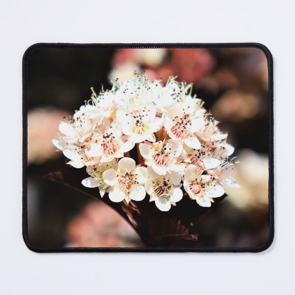 Item preview, Ninebark Bloom designed and sold by CJGrimes.