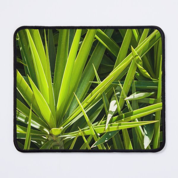 Item preview, Yucca Green Leaves  designed and sold by Vienewi.
