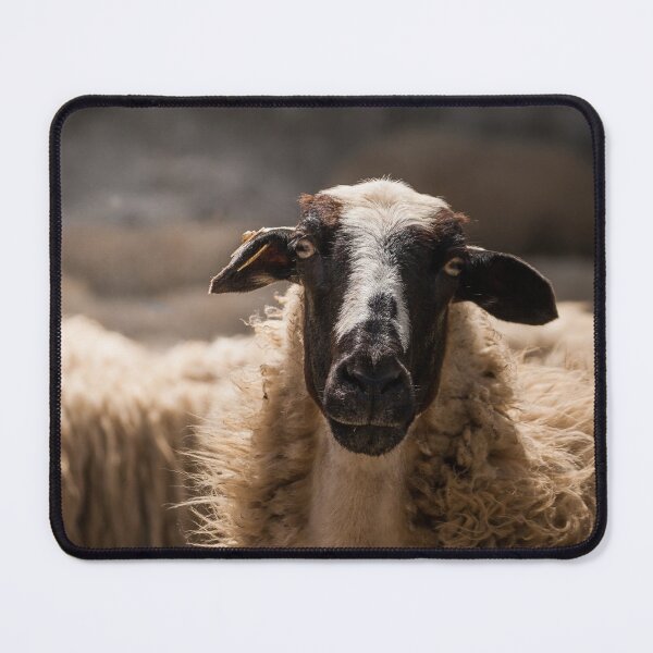 Item preview, Black Sheep - Cyprus Chios Sheep designed and sold by Vienewi.