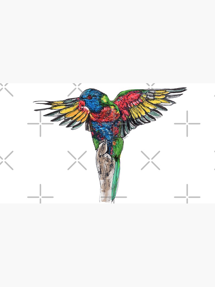Delilah the Rainbow Lorikeet by Wildcard-Sue
