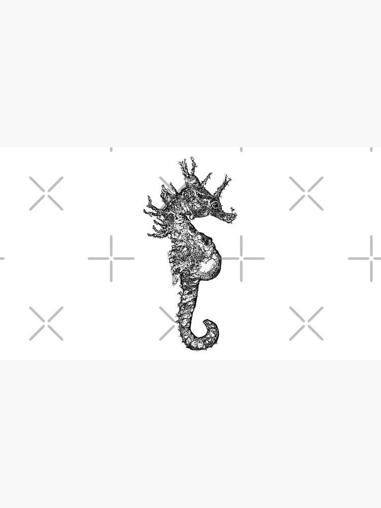 Dave the Seahorse by Wildcard-Sue