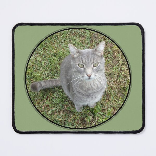 Item preview, Sat Cat designed and sold by CJGrimes.