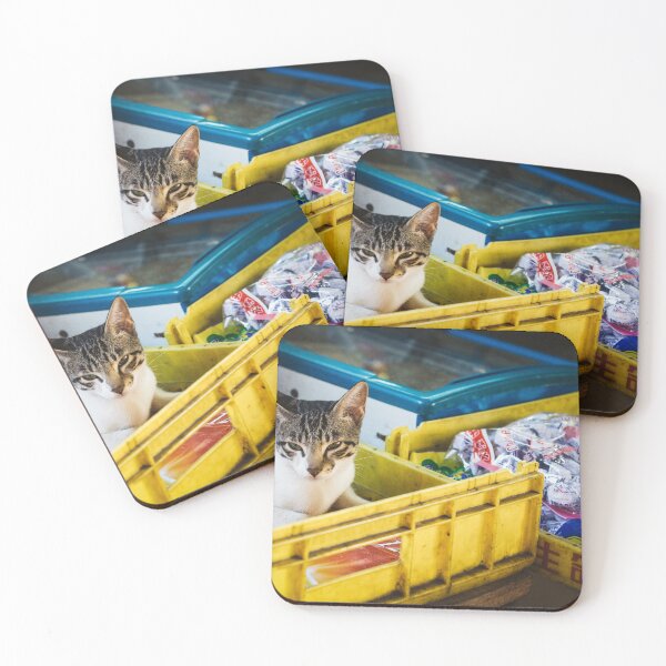 Item preview, Backstreet Grocery Store cat - Cantonese Urban Cat Photo - Hong Kong Streetview designed and sold by sthNnth.