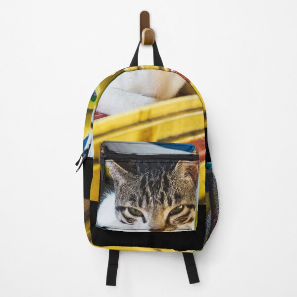 Item preview, Backstreet Grocery Store cat - Cantonese Urban Cat Photo - Hong Kong Streetview designed and sold by sthNnth.
