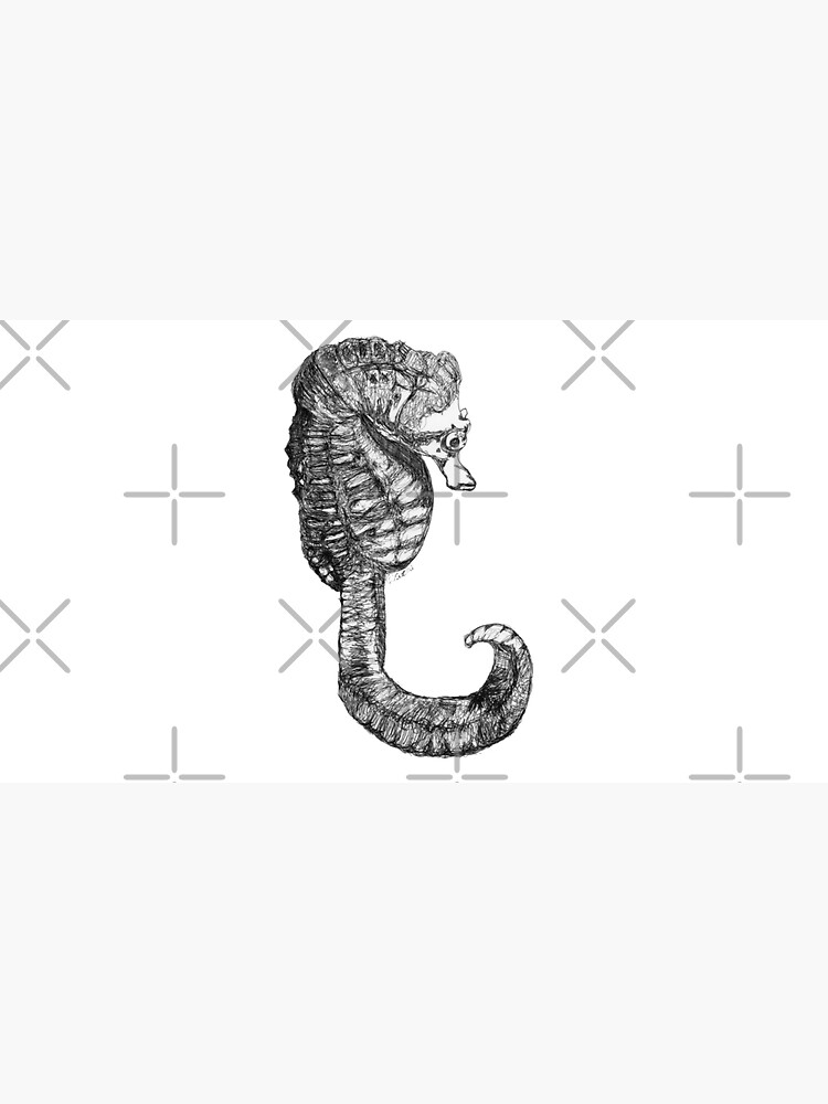 Martin the Seahorse by Wildcard-Sue