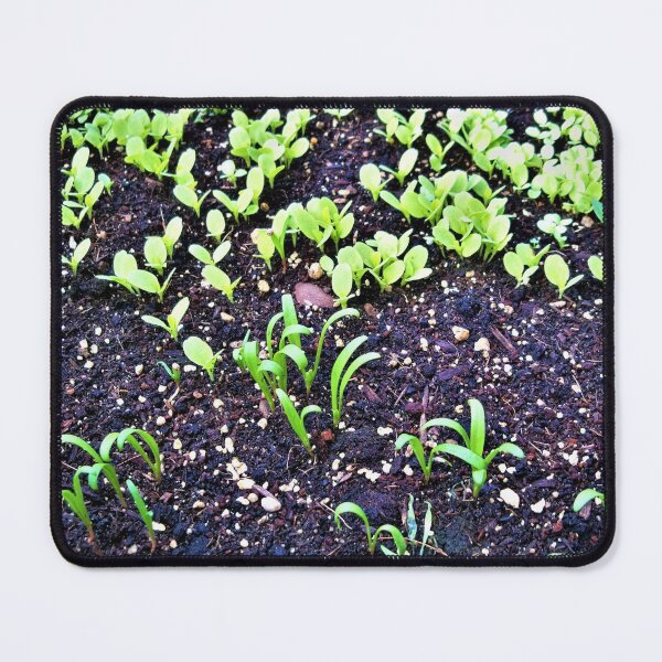 Item preview, Hints of Harvest designed and sold by CJGrimes.