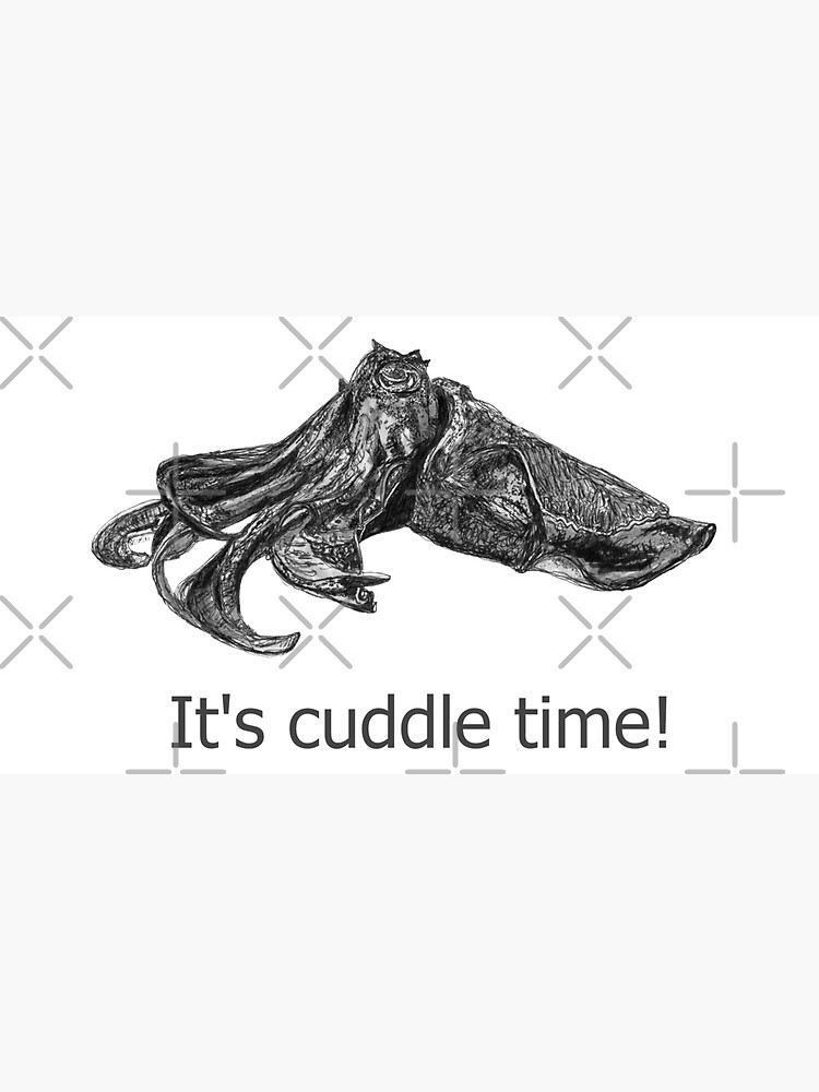 Cuddle time with Clive the Cuttlefish by Wildcard-Sue
