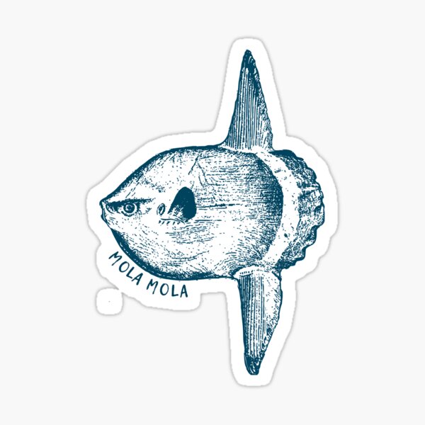 Vista previa del artículo con la obra «Mola Mola Pez luna Pez de aguas profundas», diseñado y vendido por YesterDayCheck.