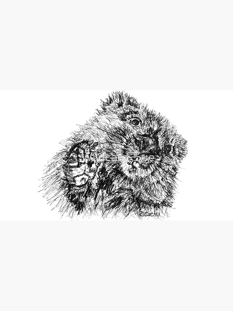 Willie the Wombat by Wildcard-Sue