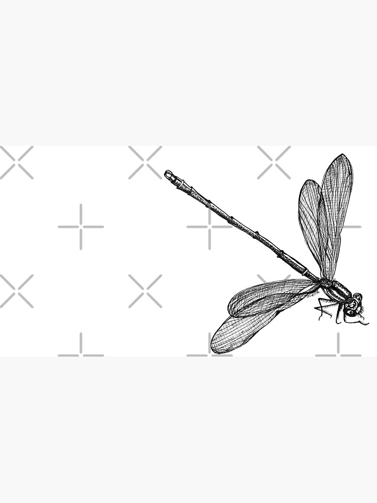 Eve the Dragonfly by Wildcard-Sue