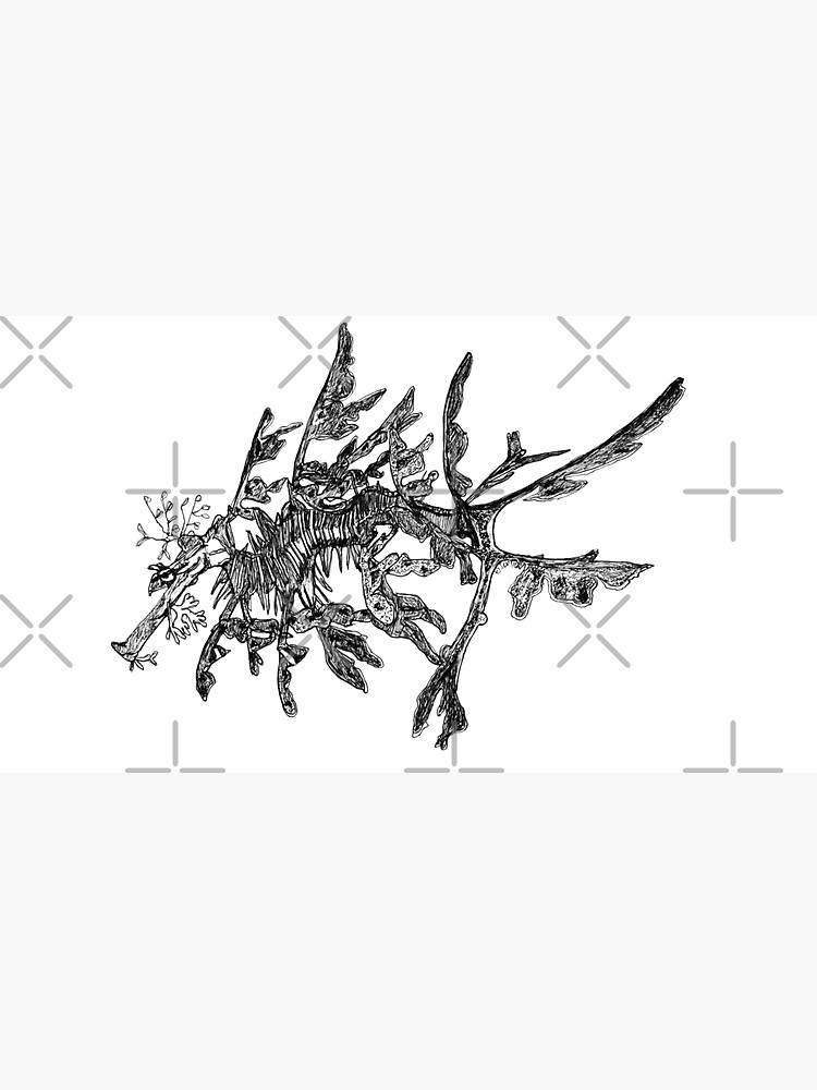 Jonesy the Leafy Sea Dragon by Wildcard-Sue