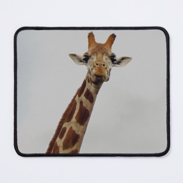 Item preview, Giraffe Gaze designed and sold by Moonshine Paradise.