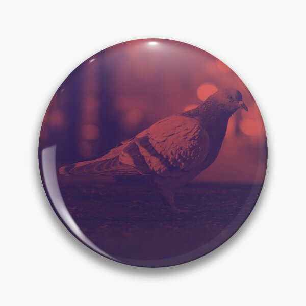 Item preview, Pigeon Visits Downtown Pigeon Forge designed and sold by Voyshop.
