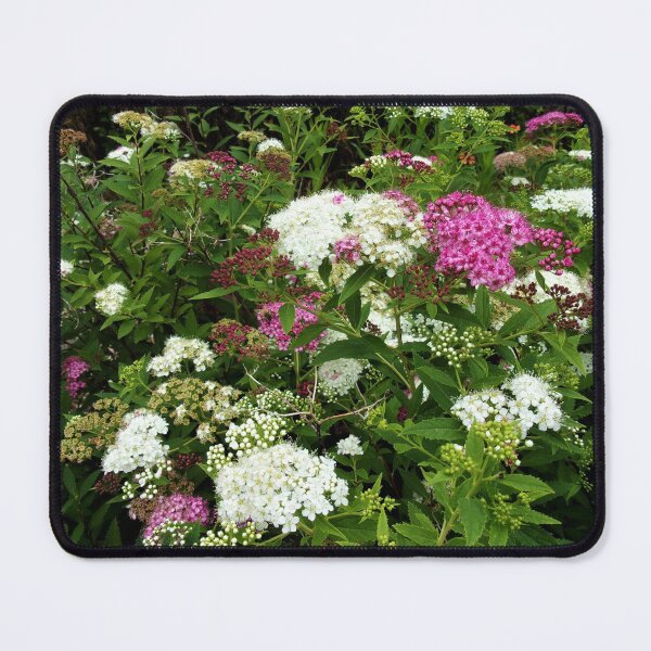 Item preview, Splendid Spirea designed and sold by CJGrimes.