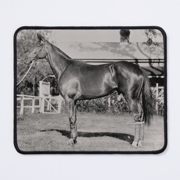 Champion Australasian racehorse Phar Lap. Mouse Pad