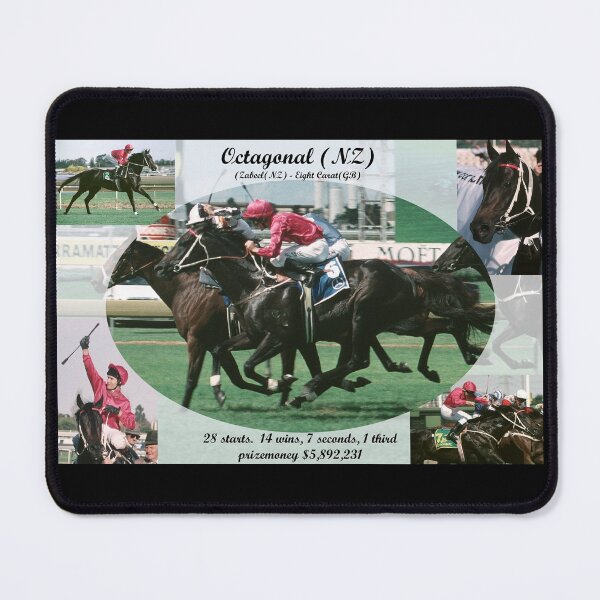 Octagonal career tribute Mouse Pad