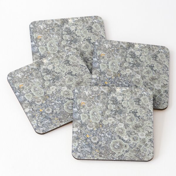 Item preview, Lichen on a Stone Block designed and sold by Sinemathk.