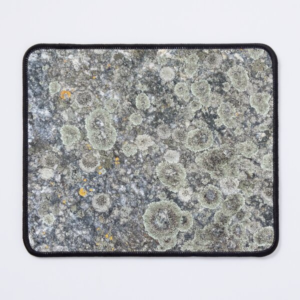 Item preview, Lichen on a Stone Block designed and sold by Sinemathk.