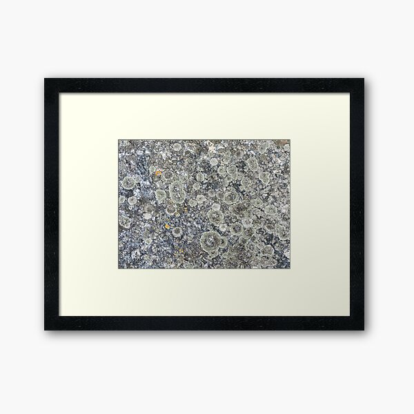 Item preview, Lichen on a Stone Block designed and sold by Sinemathk.